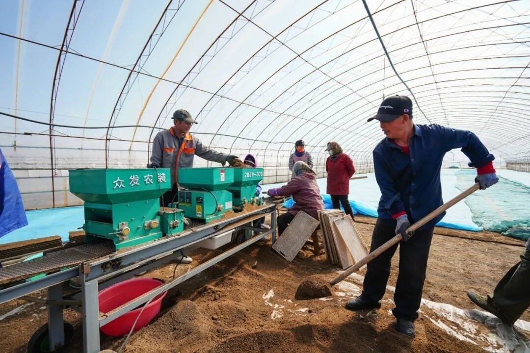 春耕正当时丨舒兰市法特镇龙兴家庭农场：人勤春早育苗忙
