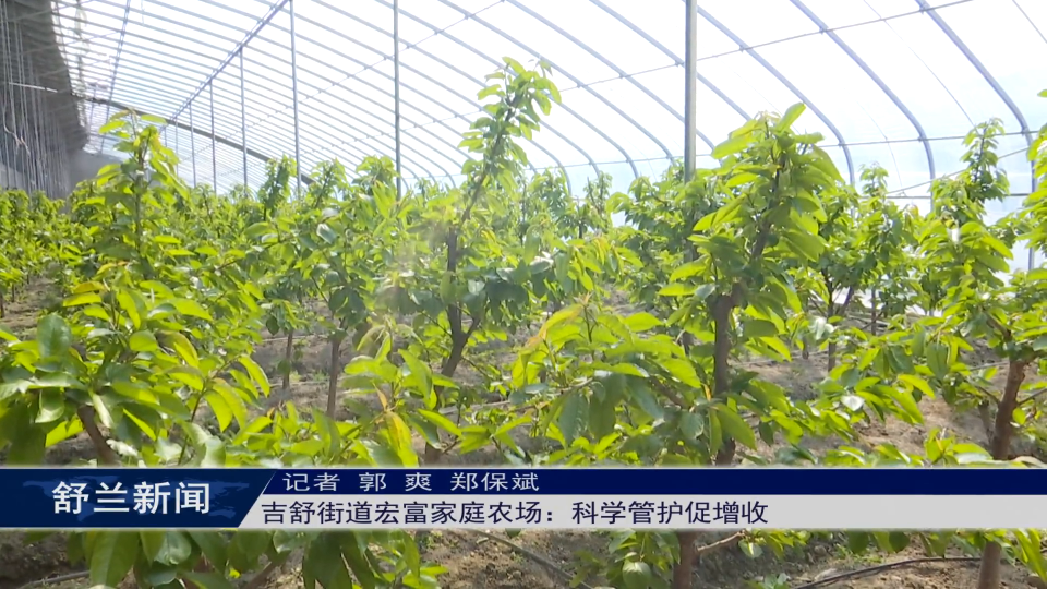乡村振兴·筑梦舒兰丨舒兰市吉舒街道宏富家庭农场：科学管护促增收