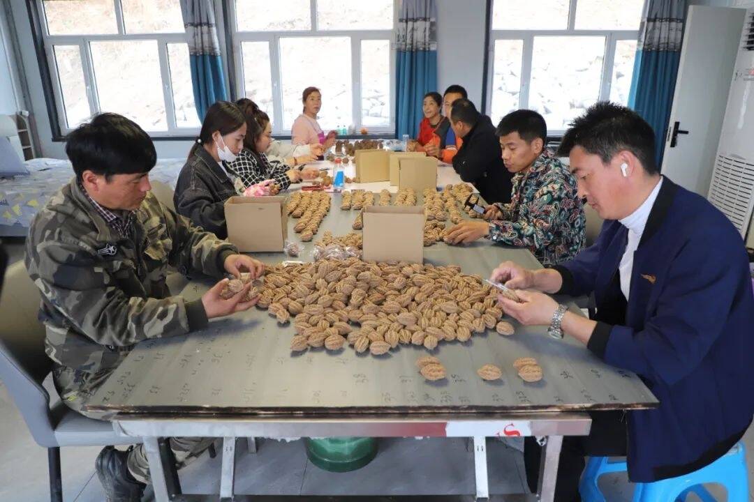 乡村振兴·筑梦舒兰丨舒兰市新安乡秀水村：硬“核”力量助振兴