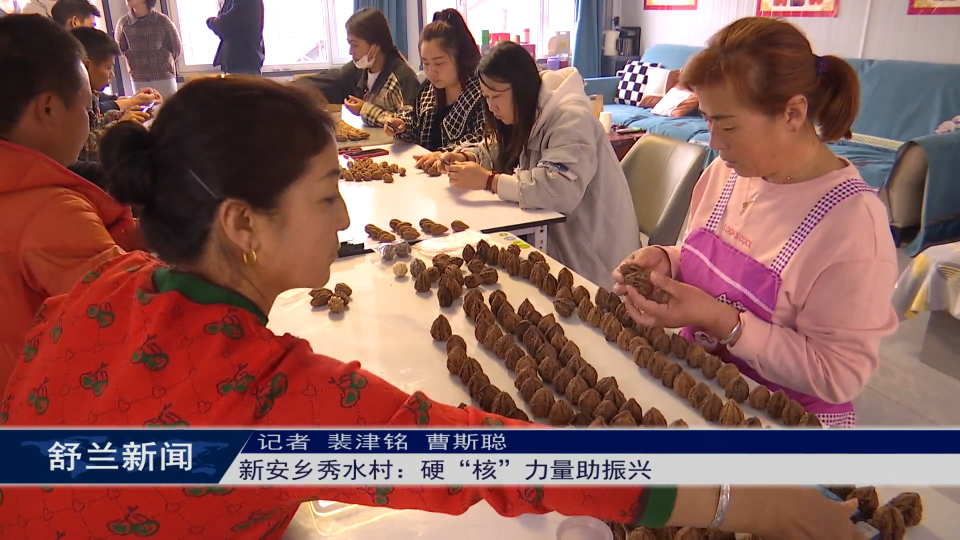 乡村振兴·筑梦舒兰丨舒兰市新安乡秀水村：硬“核”力量助振兴