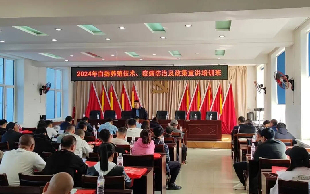 白鹅振翅·产业振兴丨舒兰市举办白鹅养殖技术、疫病防治及政策宣讲培训班