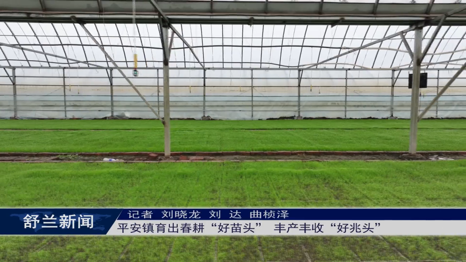 春耕正当时丨舒兰市平安镇育出春耕“好苗头” 丰产丰收“好兆头”