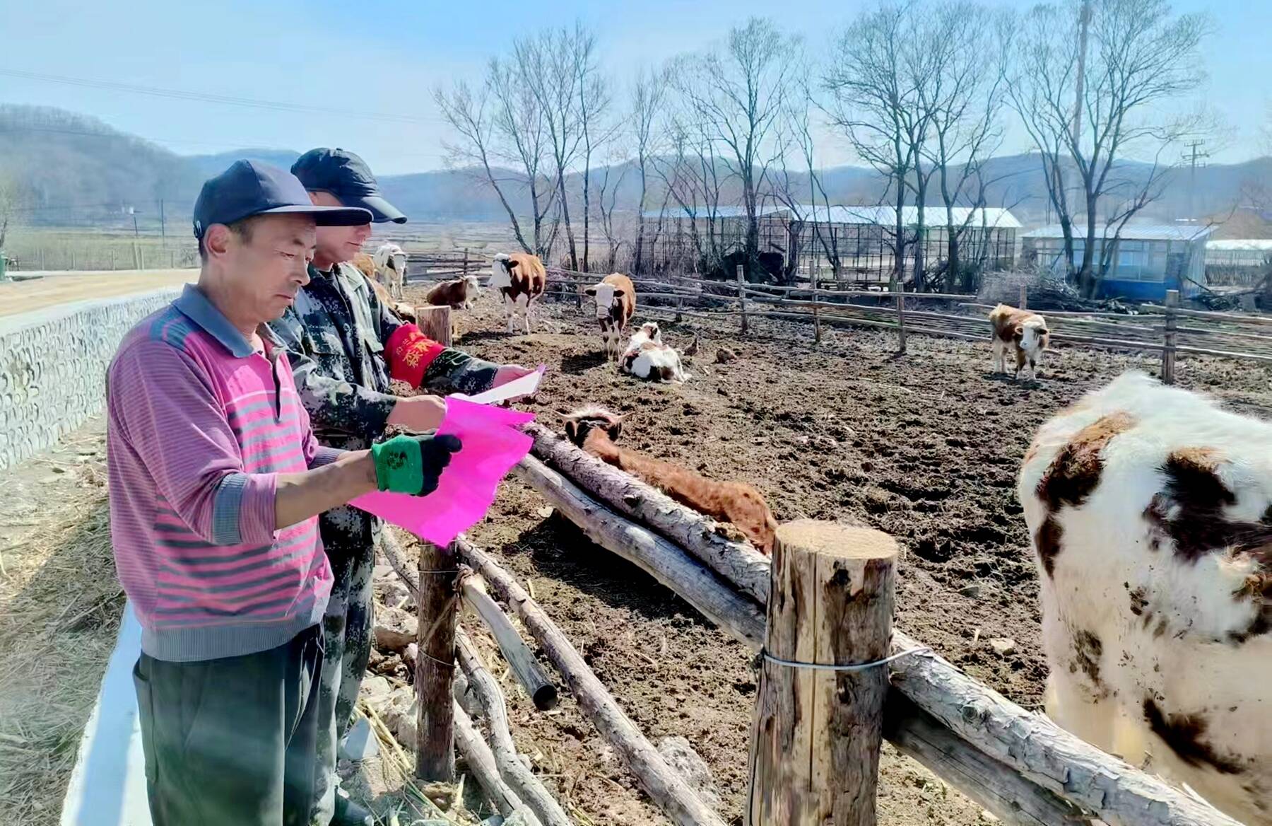 舒兰市小城林场扎实推进封山禁牧工作