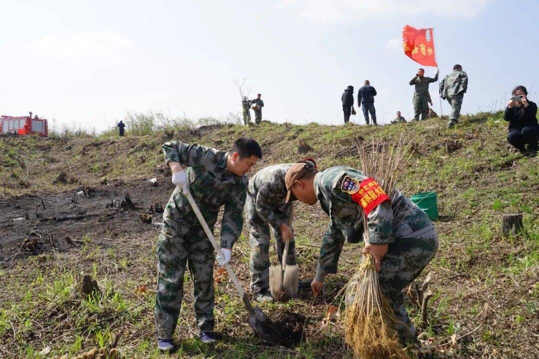 舒兰市开展2024年机关义务植树活动