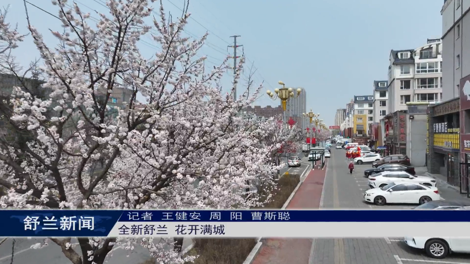 魅力舒兰丨全新舒兰 花开满城