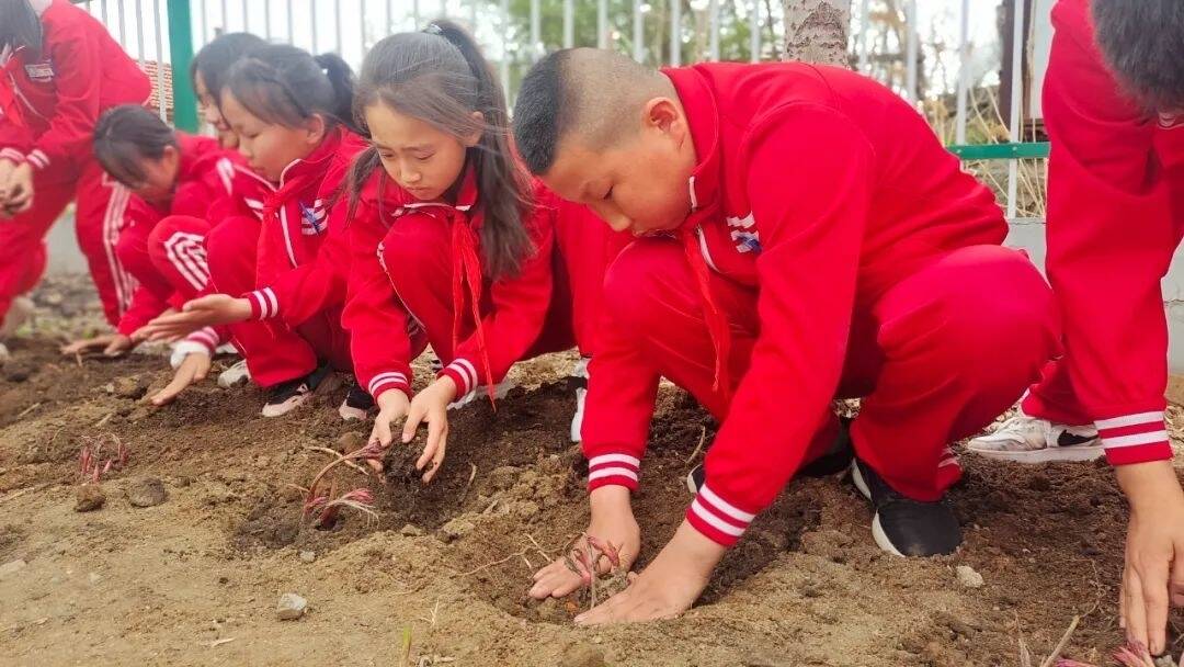 舒兰市吉舒中心校：中草药基地里的劳动课堂
