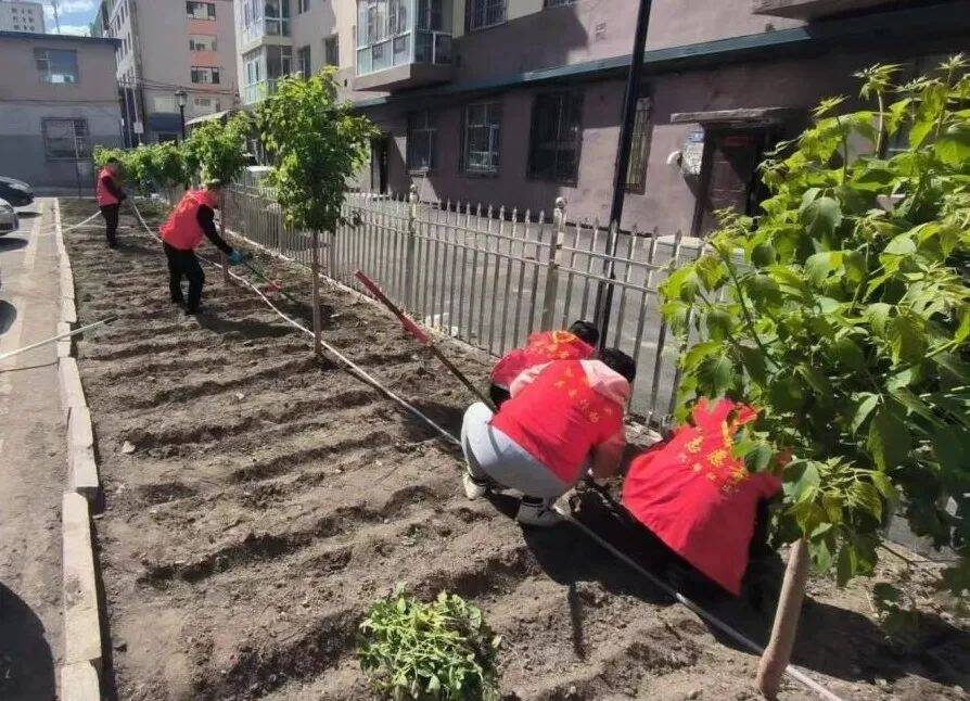 创城进行时丨舒兰市南城街道：“周三大扫除”小区换新颜