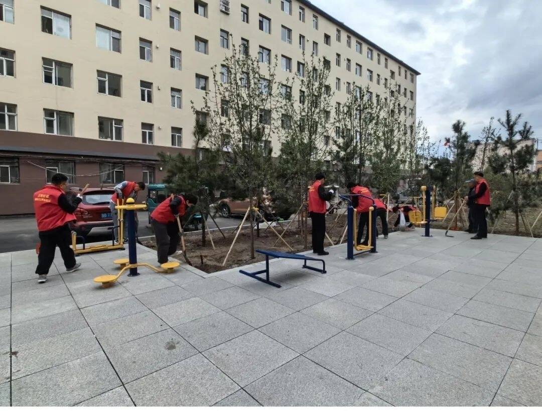 创城进行时丨舒兰市北城街道：四联四促共耕耘 邻里花香传温情