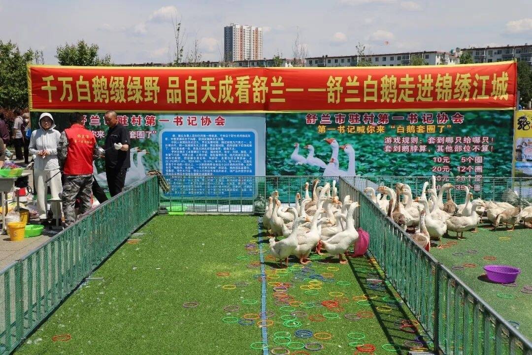 舒兰市驻村第一书记代言白鹅农特产品 助力乡村振兴