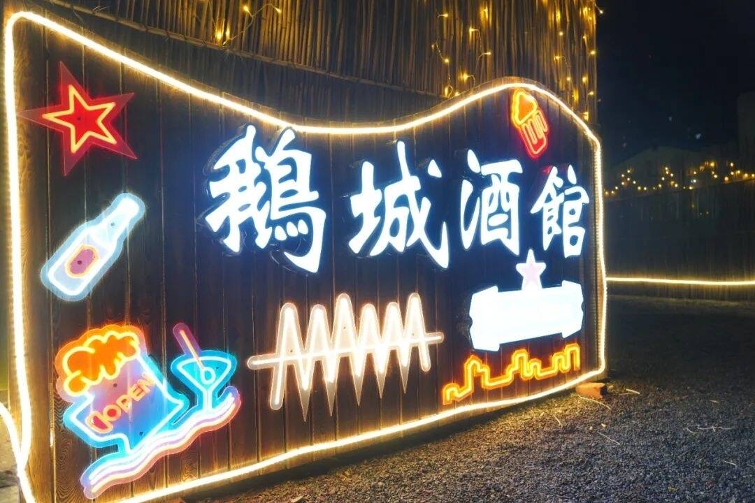 舒兰白鹅受热捧 创新创业成时尚