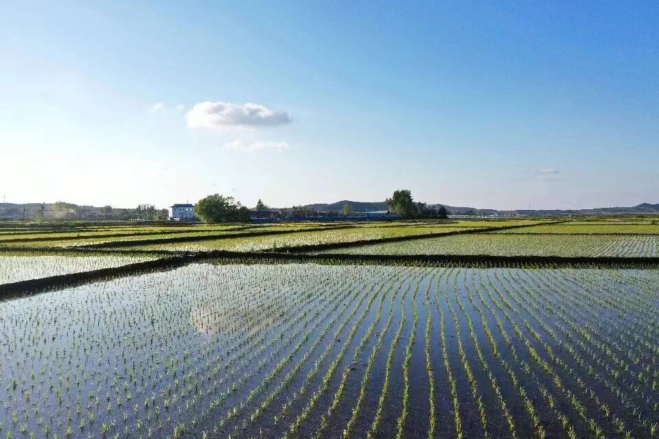 舒兰市七里乡：万象“耕”新育希望