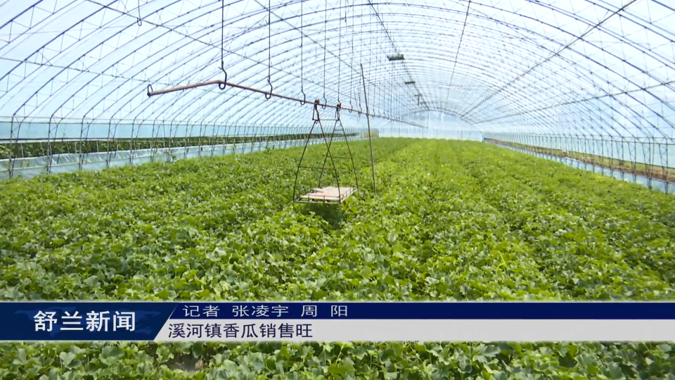 乡村振兴·筑梦舒兰丨舒兰市溪河镇香瓜销售旺