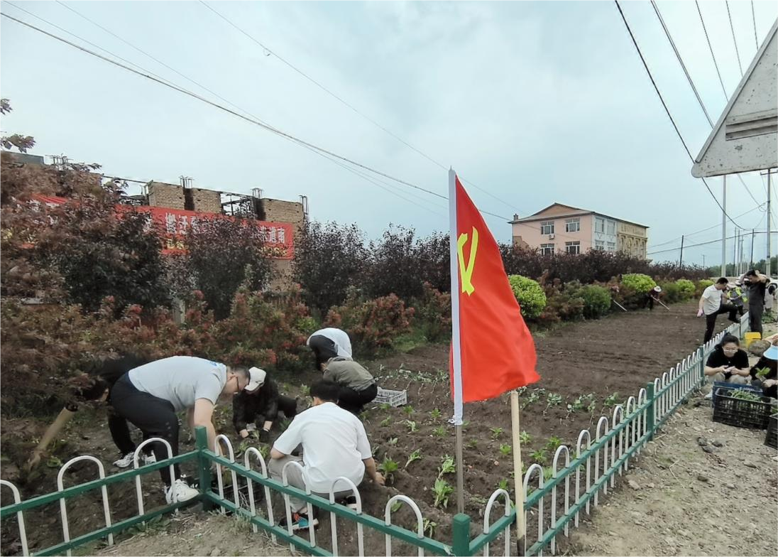 舒兰市溪河镇开展绿化美化主题党日活动