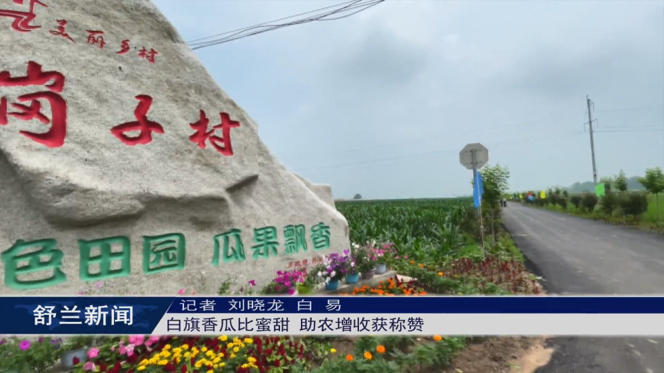 乡村振兴·筑梦舒兰丨舒兰市白旗香瓜比蜜甜 助农增收获称赞