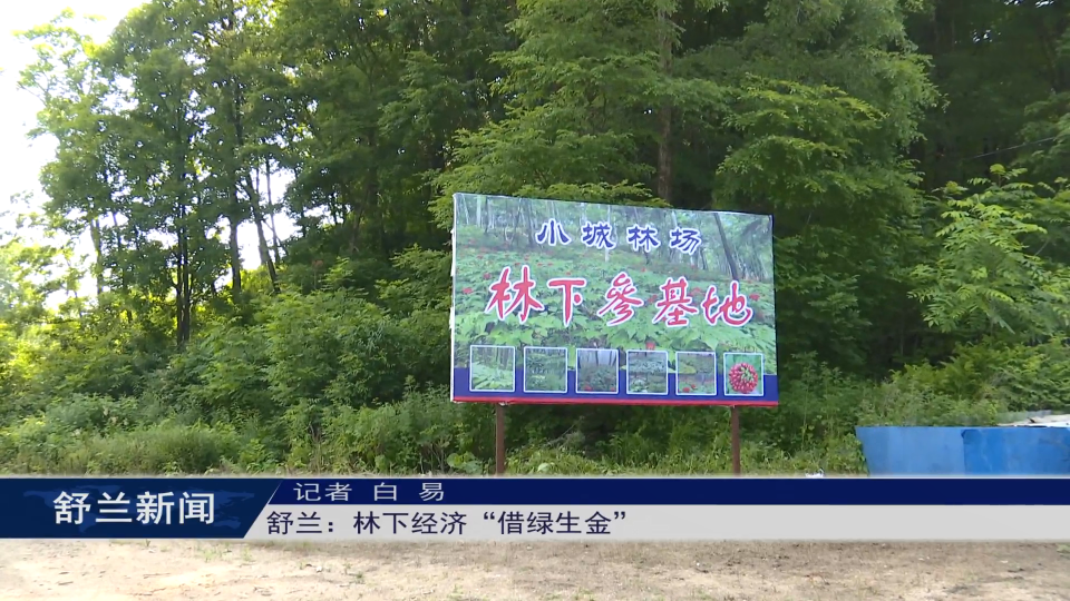 乡村振兴·筑梦舒兰丨舒兰：林下经济“借绿生金”