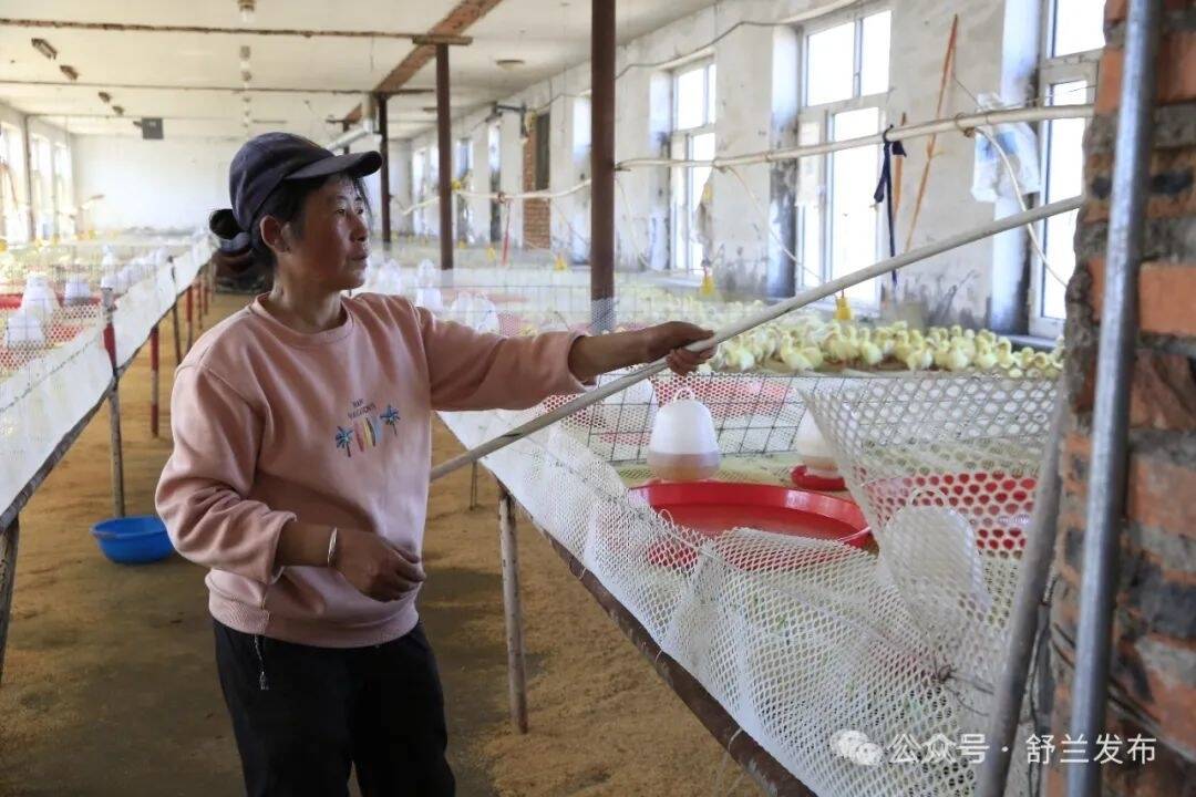 吉林日报丨春植花卉夏养鹅 “诗意图景”幸福多