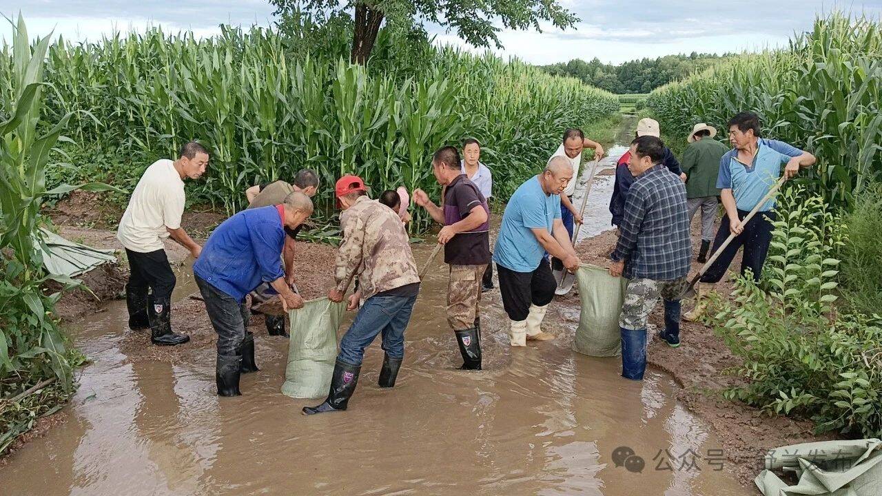 舒兰市新安乡：晴天不松懈 抢险保安全