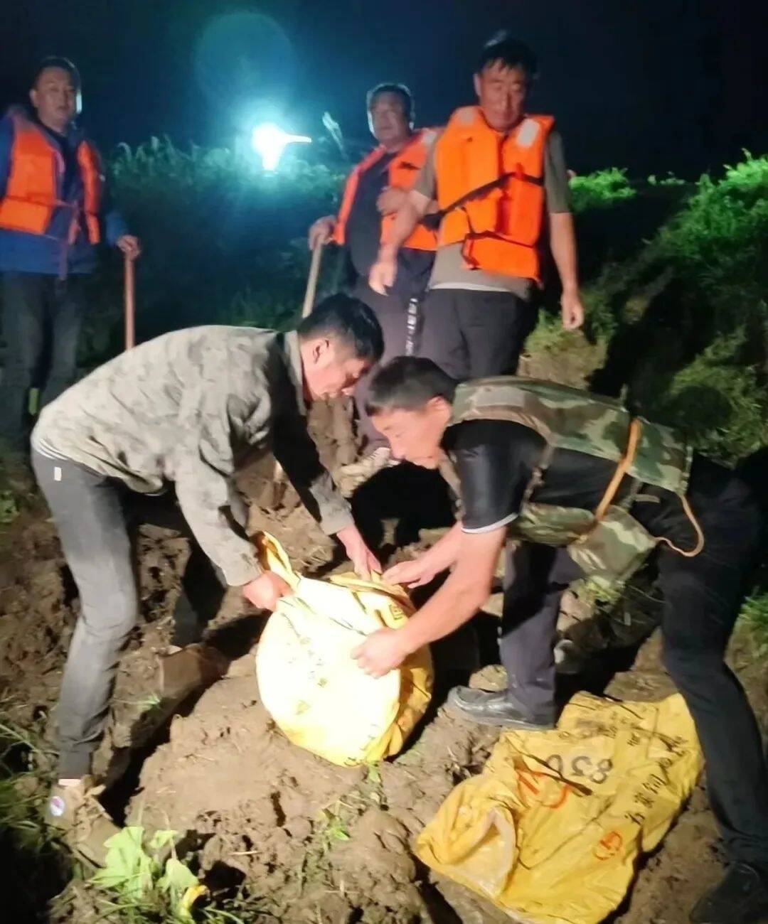 舒兰：巡堤查险不松懈 全力以赴度汛期