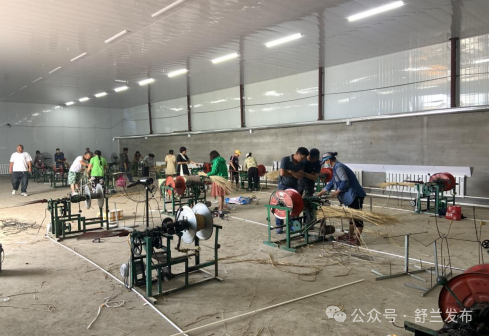兰姐走乡村丨东升村：产业驱动绘新景