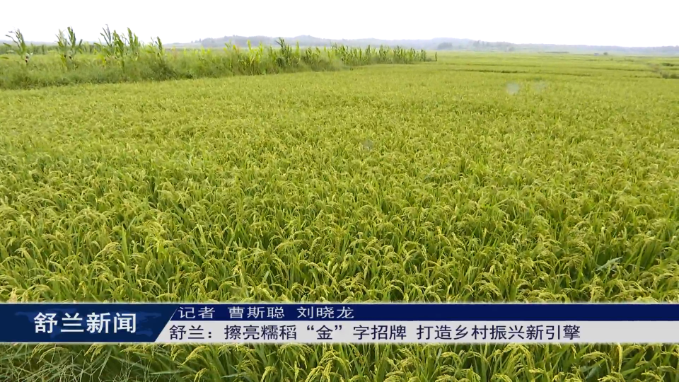 舒兰：擦亮糯稻“金”字招牌 打造乡村振兴新引擎