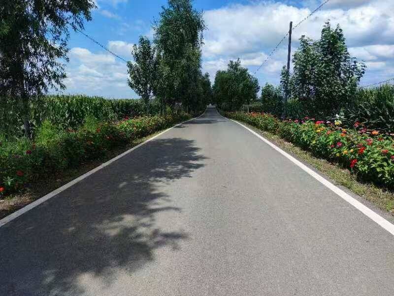 舒兰市亮甲山乡：建设美丽“花香路” 打造宜居新乡村