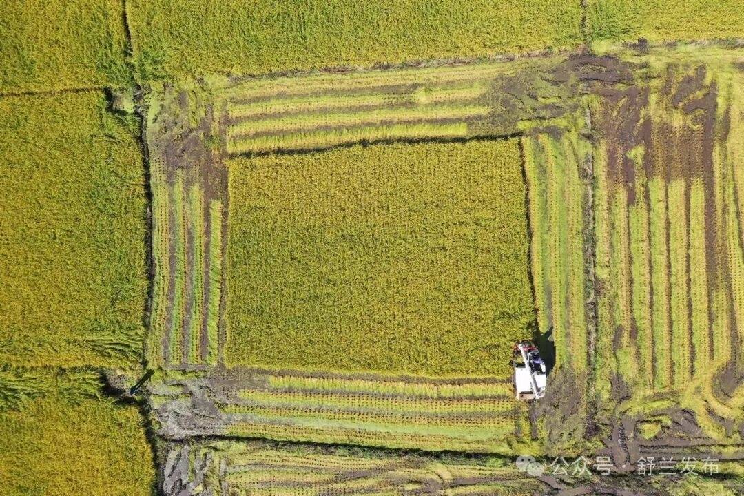 舒兰市秋粮收获进入高峰期