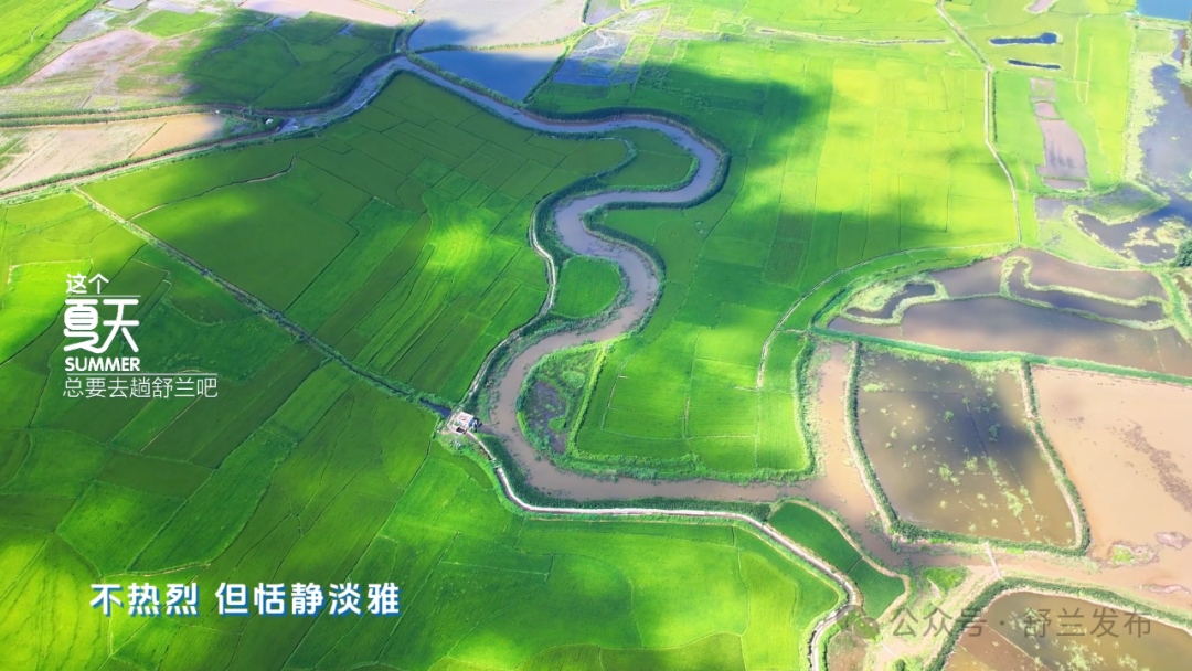 喜报！舒兰市融媒体中心再获佳绩