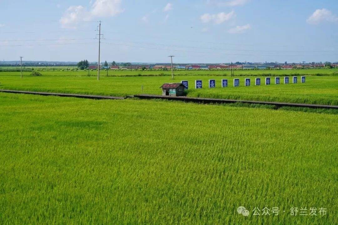 舒兰市永丰米业走出融合创新“稻”路