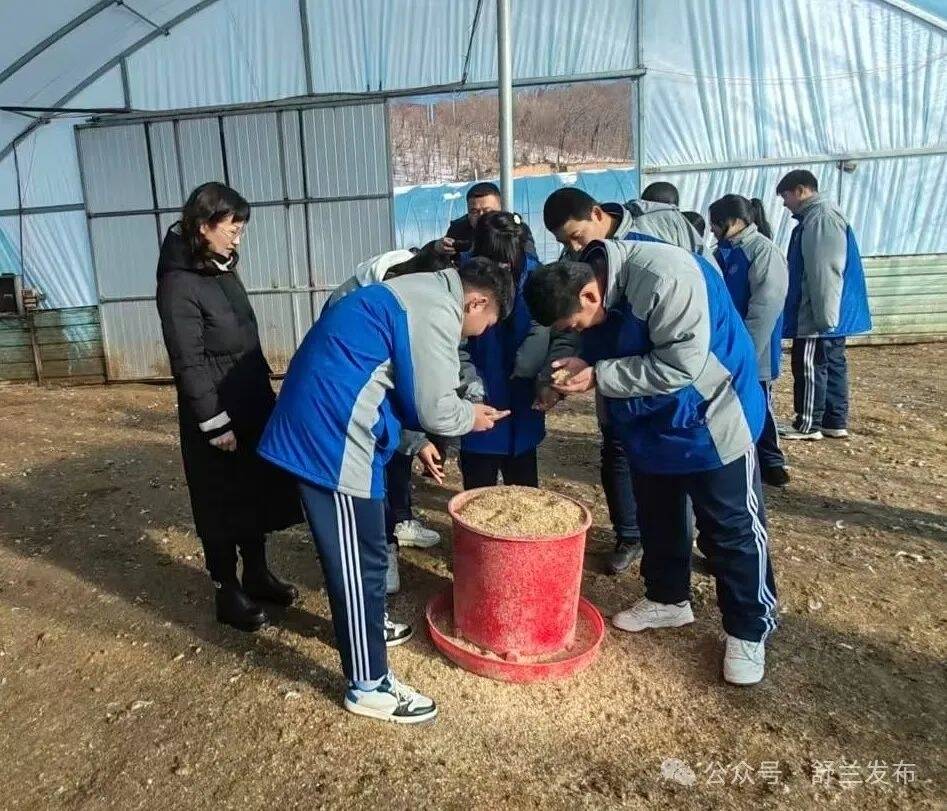 舒兰市职业高级中学深化白鹅产业产教融合