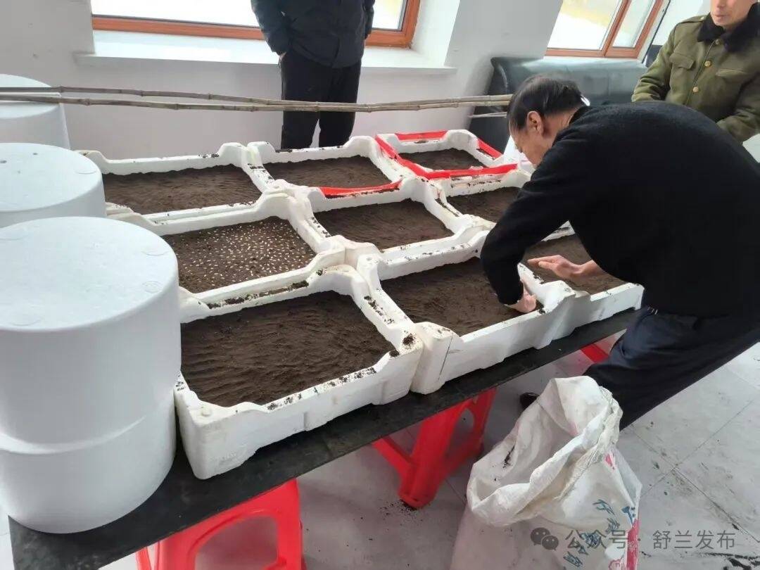 舒兰市法特镇“蔬”写新春好景色
