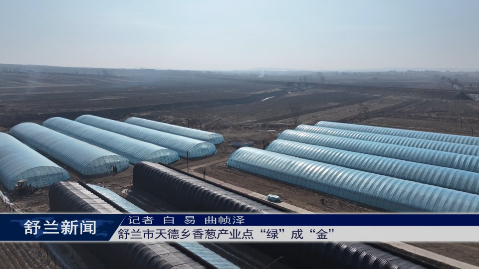 舒兰市天德乡香葱产业点“绿”成“金”