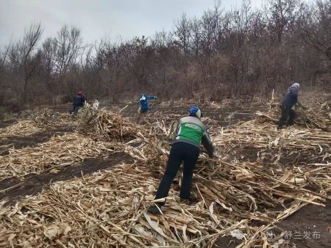 舒兰市亮甲山乡高效推进秸秆离田
