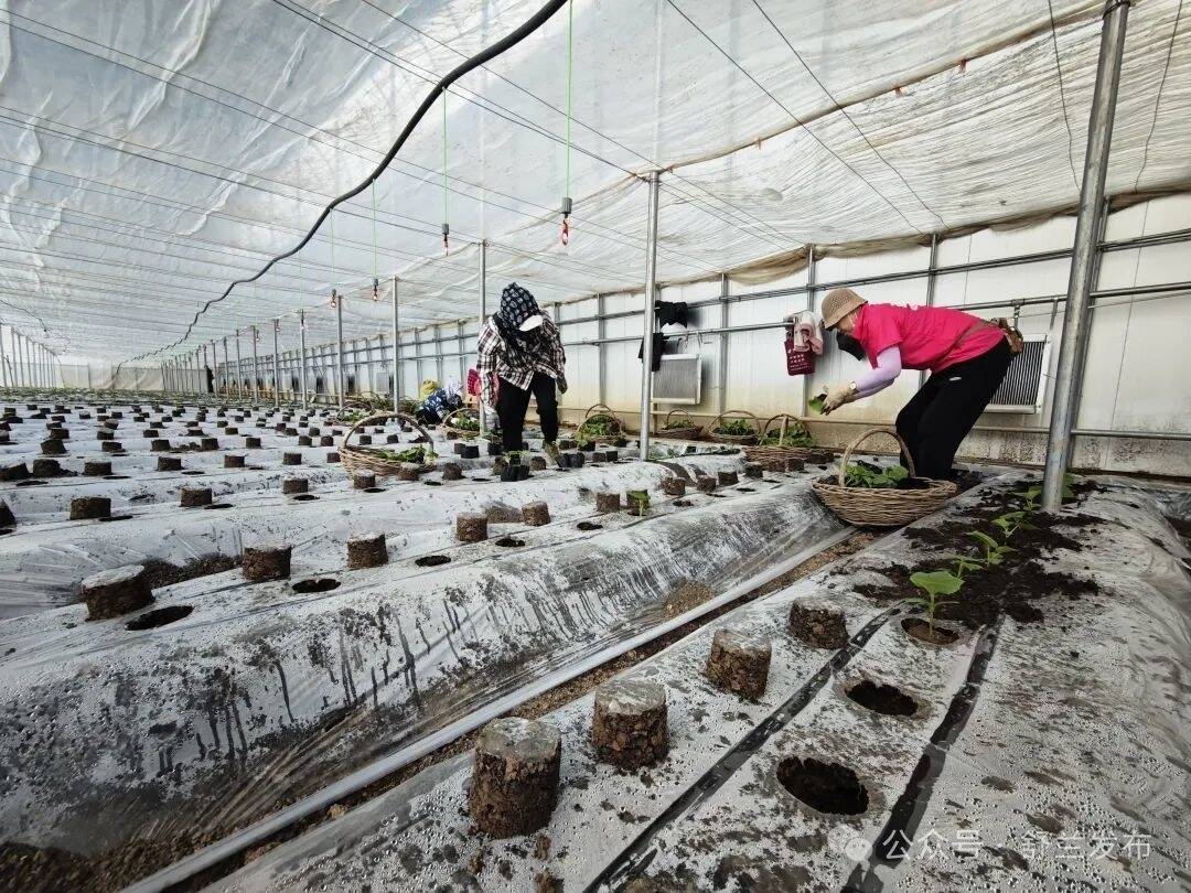 工行舒兰支行：金融活水润泽春耕