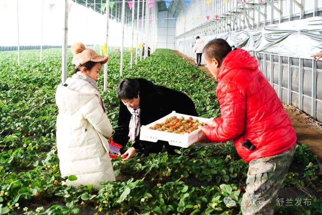 舒兰环城“金融助农”促振兴