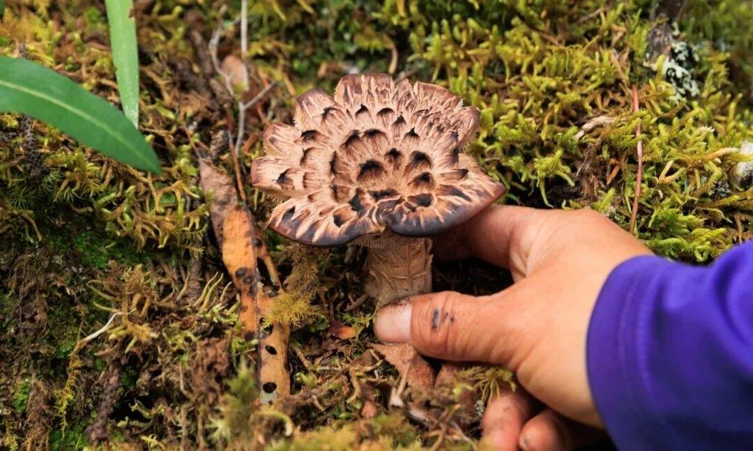 食源性疾病进入高发期！吃这些食物一定要注意→