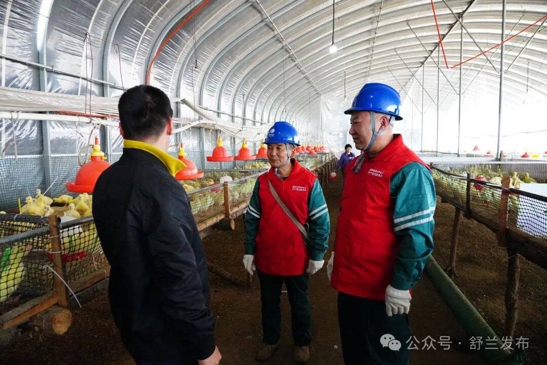 舒兰供电为白鹅产业“充电赋能”