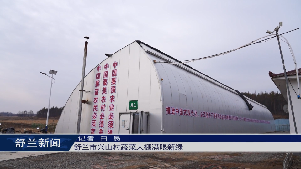舒兰市兴山村蔬菜大棚满眼新绿