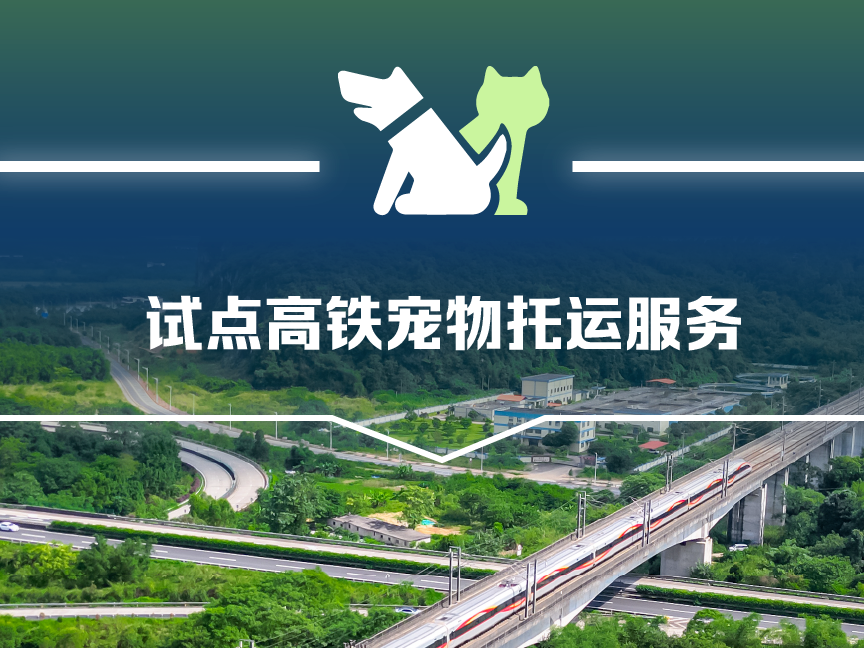 高铁宠物托运服务来啦！