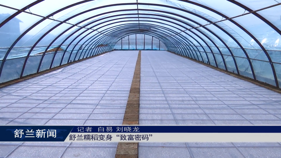 舒兰糯稻变身“致富密码”