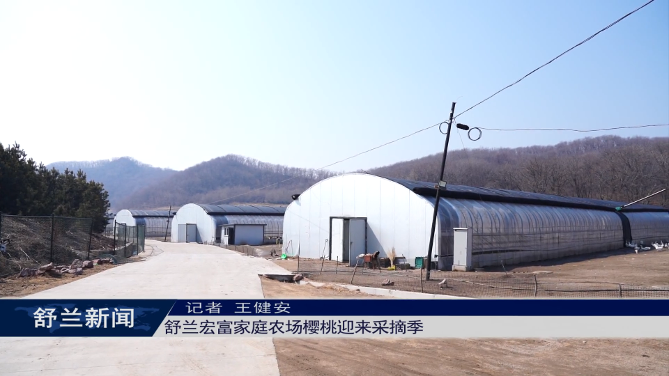 舒兰宏富家庭农场樱桃迎来采摘季
