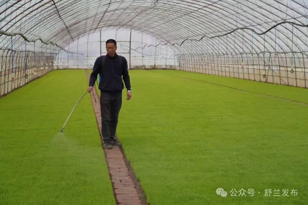 舒兰龙兴家庭农场：人勤春早绘“丰”景