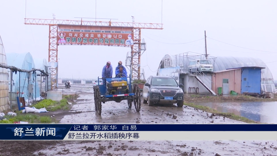 舒兰拉开水稻插秧序幕