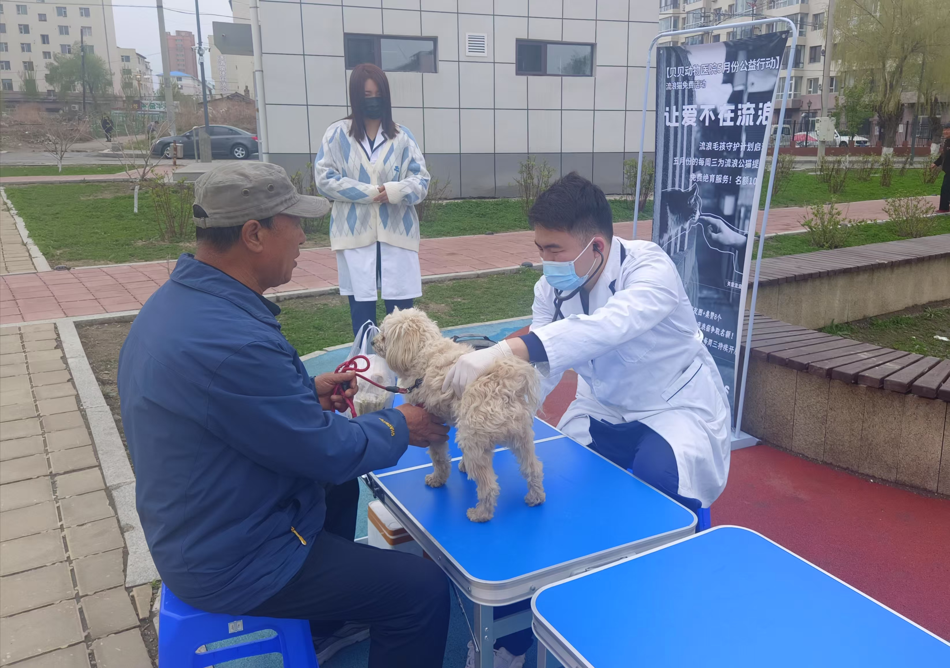 文明舒兰·有你有我丨爱心义诊护航宠物健康