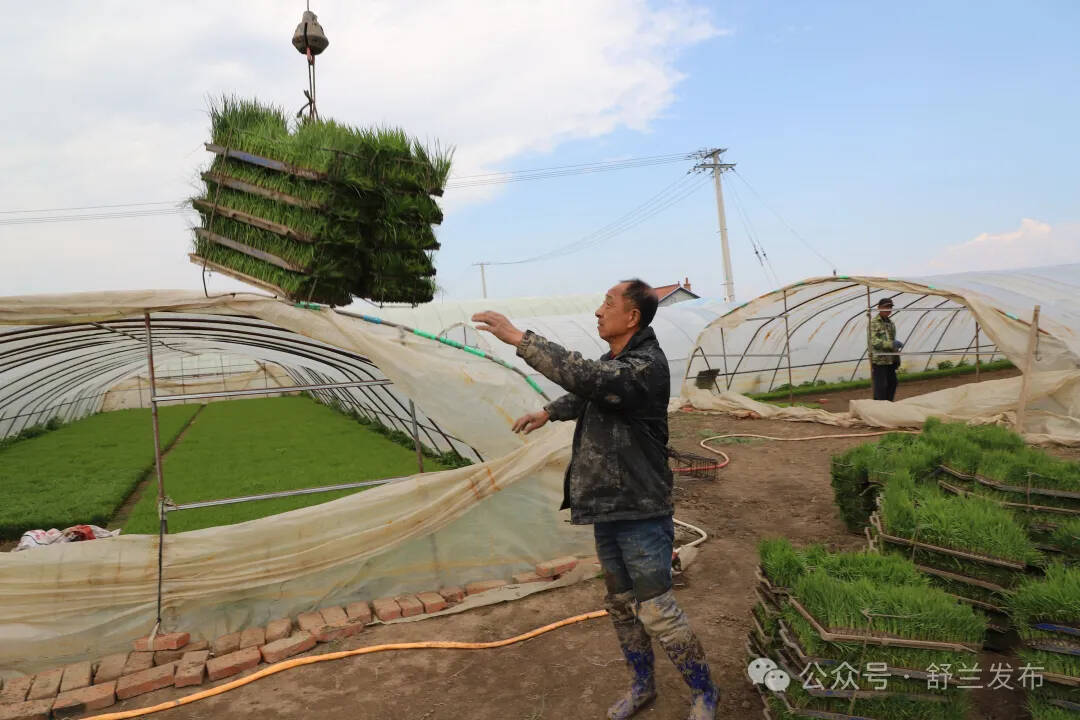 秧苗坐“飞机” 舒兰法特开启智慧春耕“加速度”