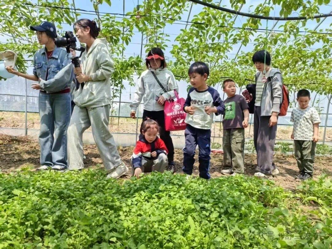 舒兰“一分田”菜园圆了市民田园梦