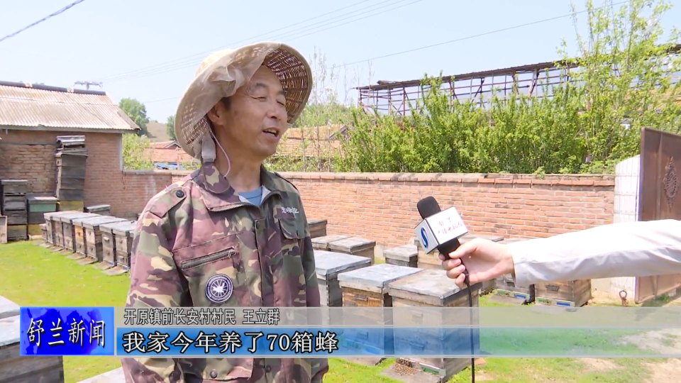 舒兰开原蜜蜂酿出“甜蜜产业”