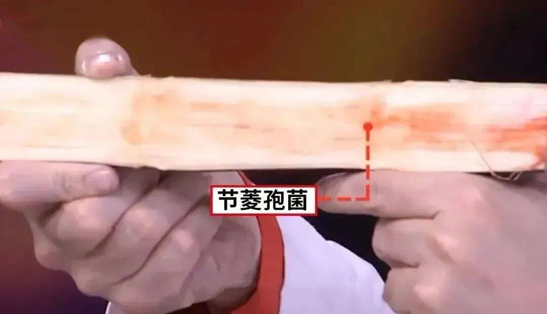 这些水果还能吃吗？鉴定指南来了！