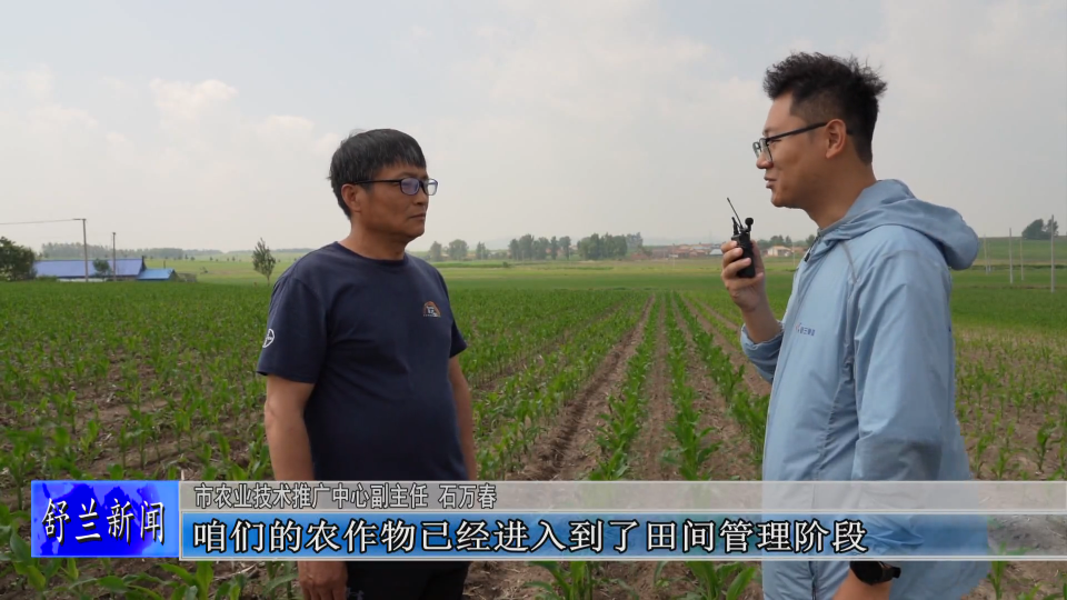 舒兰市粮食作物进入夏管阶段