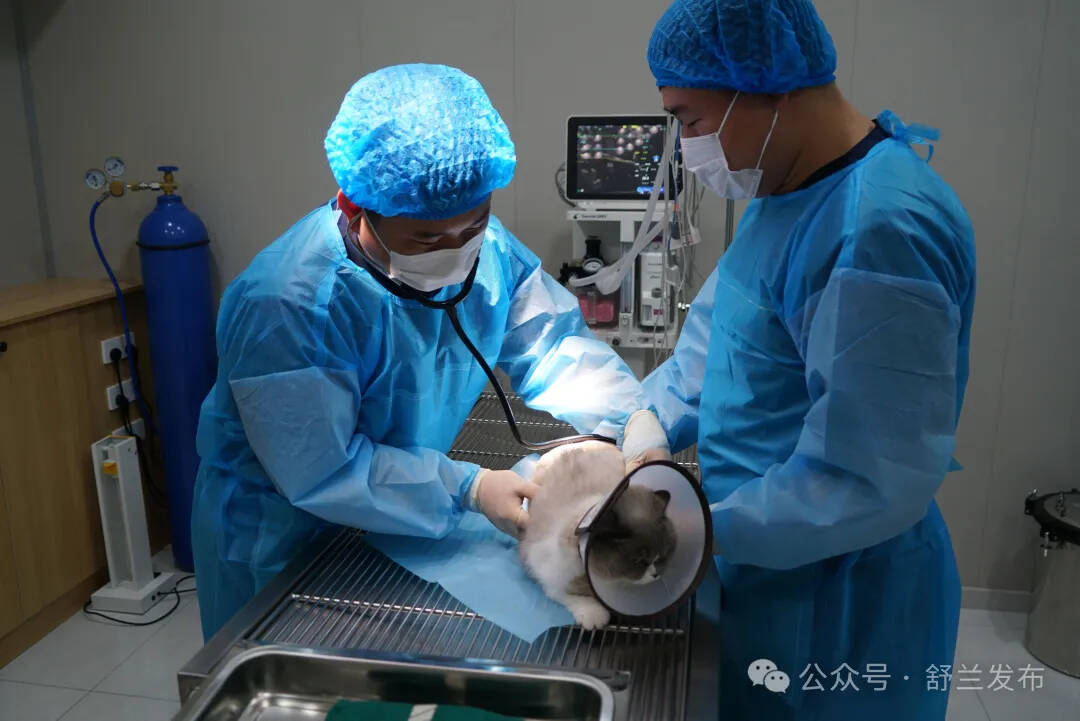 刘宇：打造舒兰首个24小时小动物急诊中心
