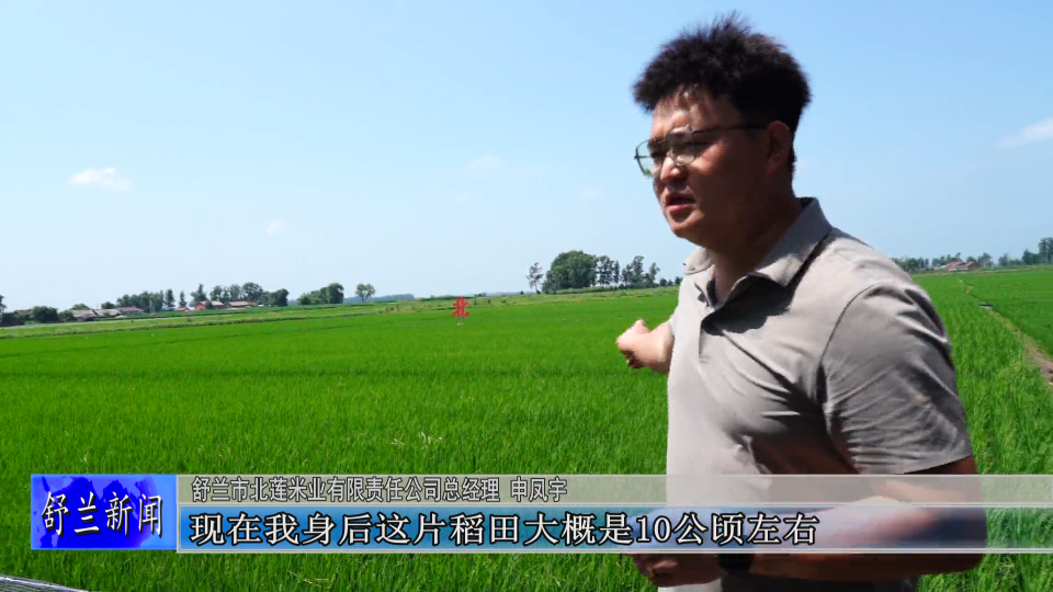 一田四收 舒兰莲花绘就“稻+”生态画卷
